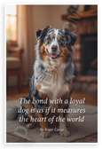 Roger Caras "The Bond with a Loyal Dog" Australian Shepherd Inspirational 12x18 US Made Poster