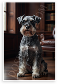 Miniature Schnauzer Elegant Portrait Library Study 12x18 US Made Poster