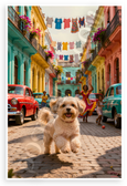 Playful Havanese Dog Frolicking Havana Colorful Streets 12x18 US Made Poster