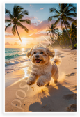Adventurous Havanese Dog Tropical Beach Sunset Palm Trees 12x18 US Made Poster