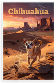 Chihuahua Desert Adventure Sunset Landscape 12x18 US Made Poster