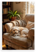Havanese Dog Cozy Armchair Reading Nook Sunlit Home 12x18 US Made Poster