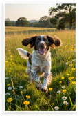 English Springer Spaniel Running Joyfully Through Sunny Field Wildlife 12x18 US Made Poster