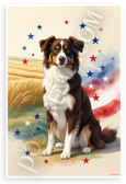 Miniature American Shepherd Patriotic Stars Wheat Fields 12x18 US Made Poster