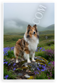 Shetland Sheepdog Scottish Highlands Misty Hills Wildflowers 12x18 US Made Poster