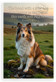 Konrad Lorenz "The Bond with a True Dog" Shetland Sheepdog Inspirational 12x18 US Made Poster
