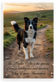 Dog Expert Association "Border Collie Epitome of Canine Intelligence" Inspirational 12x18 US Made Poster