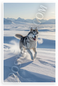 Siberian Husky Running Snowy Mountains Wilderness Adventure 12x18 US Made Poster