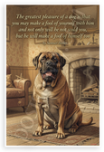 Samuel Butler "Greatest Pleasure of a Dog" Mastiff Inspirational 12x18 US Made Poster
