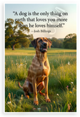 Josh Billings "A Dog Is the Only Thing on Earth That Loves You More Than He Loves Himself" Rhodesian Ridgeback Inspirational 12x18 US Made Poster