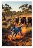 Australian Cattle Dog Herding Cattle Outback Landscape 12x18 US Made Poster