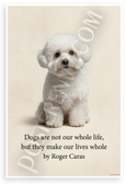 Roger Caras "Dogs Are Not Our Whole Life But They Make Our Lives Whole" Bichon Frise 12x18 US Made Poster