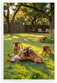 Playful Rhodesian Ridgeback Puppies Sunny Backyard Wildlife 12x18 US Made Poster