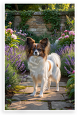 Papillon Dog in Lush Garden with Lavender and Peonies Wildlife 12x18 US Made Poster
