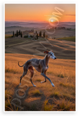 Italian Greyhound Running Tuscan Hills Sunset Landscape 12x18 US Made Poster