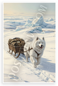 Adventurous Samoyed Pulling Sled Arctic Exploration Vintage 12x18 US Made Poster