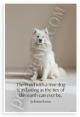 Konrad Lorenz "The Bond with a True Dog" Samoyed Inspirational 12x18 US Made Poster