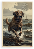 Chesapeake Bay Retriever Emerging from Waters Vintage 12x18 US Made Poster