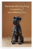 "The Bond with a Loyal Dog is a Journey of Unconditional Love" Giant Schnauzer Inspirational 12x18 US Made Poster