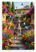 Playful Italian Greyhound Chasing Butterflies Italian Garden 12x18 US Made Poster