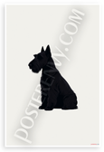 Scottish Terrier Minimalist Black Silhouette 12x18 US Made Poster