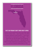 Florida - NEW U.S Travel Poster