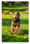 Airedale Terrier Running Playful Park Garden Autumn 12x18 US Made Poster