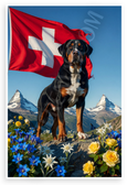 Swiss Mountain Dog with Flag Matterhorn Alpine Flowers Patriotic 12x18 US Made Poster
