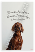 Jeanne-Marie Guyon "The more I see of men, the more I admire dogs" Irish Setter 12x18 US Made Poster