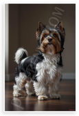 Biewer Terrier Elegant Portrait Realistic Dog 12x18 US Made Poster