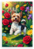 Playful Biewer Terrier Frolicking in Vibrant Garden Flowers 12x18 US Made Poster