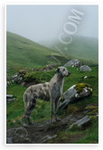 Irish Wolfhound Misty Green Hills Landscape Wildlife 12x18 US Made Poster