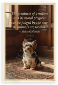 Mahatma Gandhi 'Greatness of a Nation Judged by Animals' Inspirational 12x18 US Made Poster