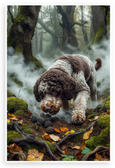 Lagotto Romagnolo Truffle Hunting Misty Forest Wildlife 12x18 US Made Poster
