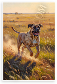 Playful Bullmastiff Running in Sunny Field Oil Painting 12x18 US Made Poster