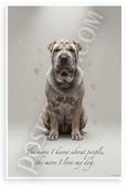 "The more I know about people, the more I love my dog" Chinese Shar-Pei 12x18 US Made Poster