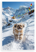 Lhasa Apso Trekking Himalayan Snowy Peaks Adventure 12x18 US Made Poster