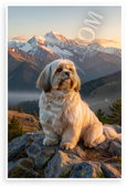 Dalai Lama Compassion Quote Lhasa Apso Mountain 12x18 US Made Poster