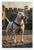 Majestic Bull Terrier Military Castle Fantasy 12x18 US Made Poster