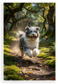 Old English Sheepdog Running Forest Trail Adventure Wildlife 12x18 US Made Poster