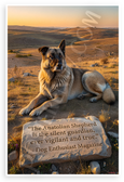 Dog Enthusiast Magazine "Anatolian Shepherd Silent Guardian" Inspirational 12x18 US Made Poster