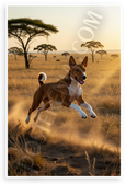 Basenji Dog Leaping Savannah Action Wildlife 12x18 US Made Poster