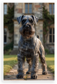 Majestic Standard Schnauzer Portrait Dog Breed 12x18 US Made Poster