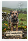 Border Terrier 'Relentless Adventure and Unwavering Loyalty' Inspirational 12x18 US Made Poster