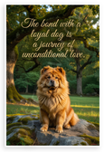 The Bond with a Loyal Dog Unconditional Love Quote Chow Chow 12x18 US Made Poster