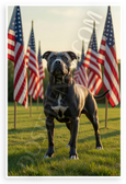 American Staffordshire Terrier Patriotic American Flags 12x18 US Made Poster