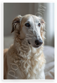 Graceful Borzoi Dog Portrait Serene Wildlife 12x18 US Made Poster