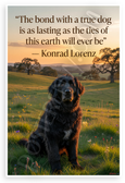 Konrad Lorenz "Bond with a True Dog" Inspirational Dog 12x18 US Made Poster