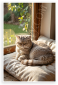 Exotic Shorthair Cat Sunlit Window Cozy Scene 12x18 US Made Poster