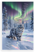 Siberian Cat Guardian Under Aurora Borealis Wilderness 12x18 US Made Poster